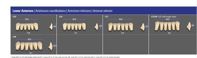 MFT teeth - 3D Master