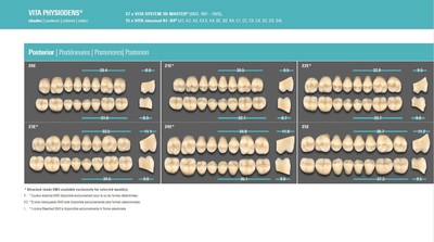 PHYSIODENS zobje  - 3D Master