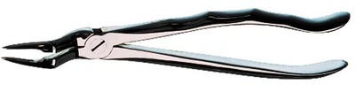 Forceps for roors, upper jaw