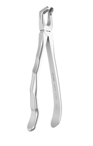 Forceps c- lower third molars