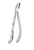 Forceps - upper premolar