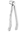 Forceps - lower premolars