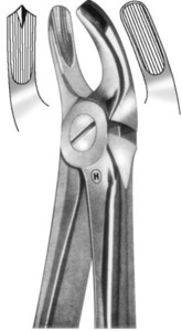fig.18, English pattern, zgornji kočniki, levo
