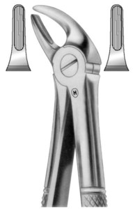 fig.4, English pattern, spodnji incizivi in očnjaki