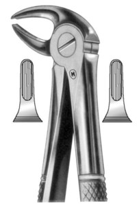 fig.13, English pattern, spodnji premolarji