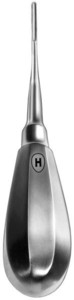 Bein, fig. 2, 3 mm, zgornji koreninski