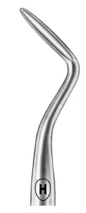 Flohr, fig. 3(R), 3 mm, spodnji koreninski