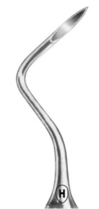 Heidbrink, spodnje koreninske, fig. 2(L)